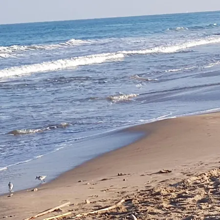 Exclusive - Playa De Marenys De Rafalcaid *