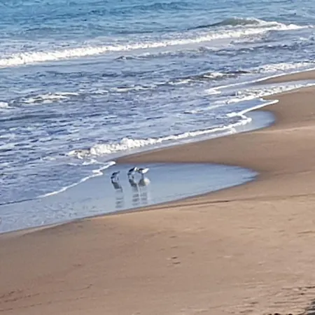 Apartment Exclusive - Playa De Marenys De Rafalcaid *