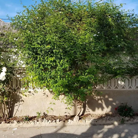 Exclusive - Playa De Marenys De Rafalcaid Apartment