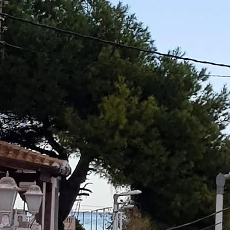 Exclusive - Playa De Marenys De Rafalcaid * Gandia