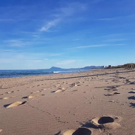 Exclusive - Playa De Marenys De Rafalcaid Gandia