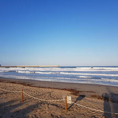 Exclusive - Playa De Marenys De Rafalcaid *